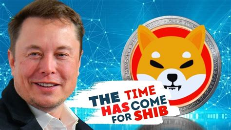 Shiba Inu Coin News Today Elon Musk Promotes Shiba Inu Is The Price