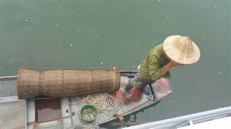 The Yellow Eel Survey In Bengkulu Indonesia Seafdec Ifrdmd