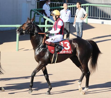 【セントライト記念】レース後コメント6着のウインオーディン・三浦皇成騎手ら ライブドアニュース