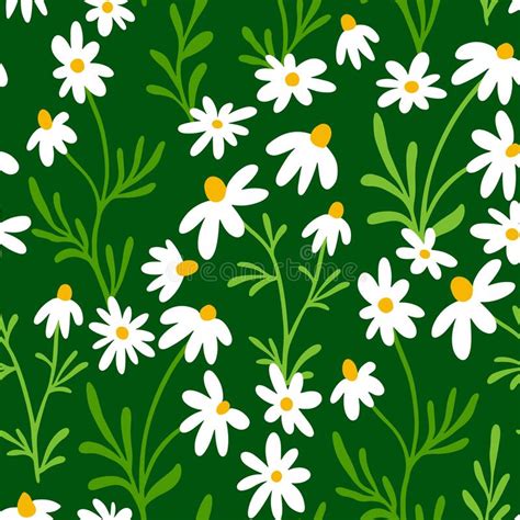 Chamomile And Daisy Seamless Pattern Wildflower Print Design With Hand Drawn Flowers On Dark