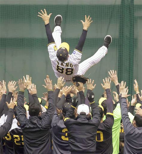 【阪神】早くも優勝決めた！？矢野燿大監督“予祝”胴上げで3度宙舞った スポーツ報知