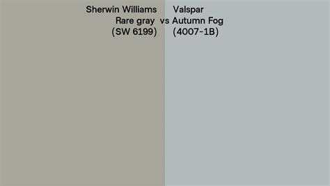 Sherwin Williams Rare Gray SW 6199 Vs Valspar Autumn Fog 4007 1B