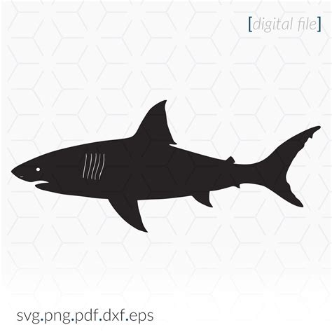 Shark Silhouette Cut File Shark Clipart Png Ai Svg Dxf Shark Svg Shark