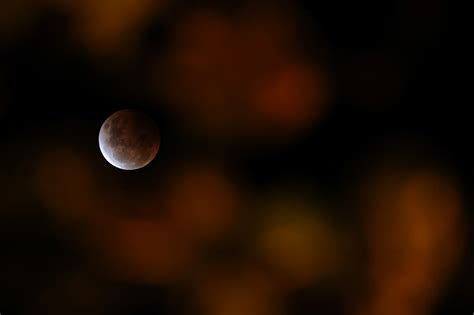 Superluna Así Se Vio El Eclipse “de Luna De Sangre” En El Mundo Infobae