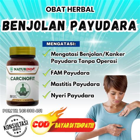 Jual Obat Benjolan Payudara Kanker Tumor Nyeri Mastitis Fam Shopee