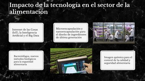 Impacto De La Tecnolog A En El Sector De La Alimentaci N By Karina