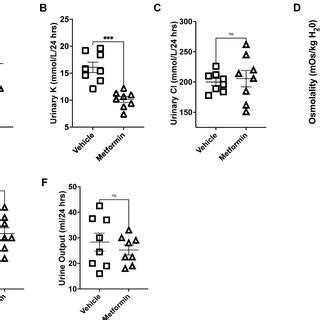 Metformin Reduces The Expression Of Renal Enac Alpha In Db Db Mice On