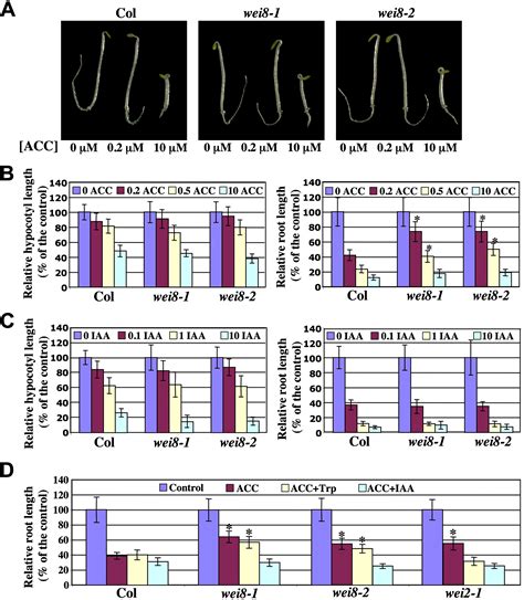 Taa Mediated Auxin Biosynthesis Is Essential For Hormone Crosstalk And