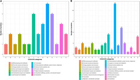 Frontiers Tandem Mass Tag Based Quantitative Proteomics Analysis