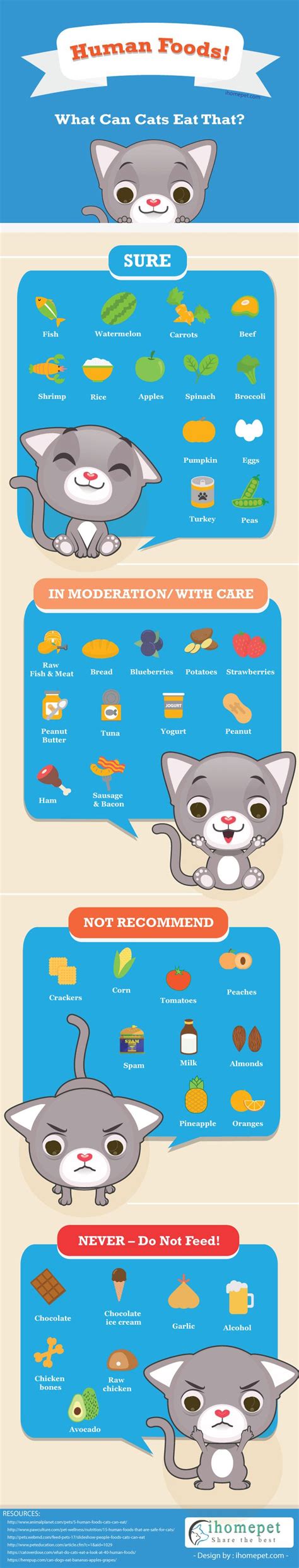 What Can Cats Eat Besides Cat Food InfographicBee What Can