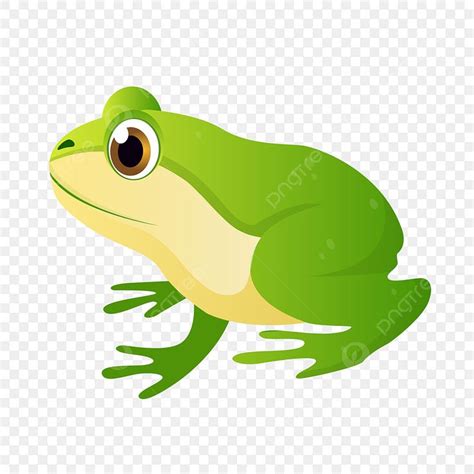 Green Frog Clipart Transparent PNG Hd, Green White Belly Frog, Frog ...