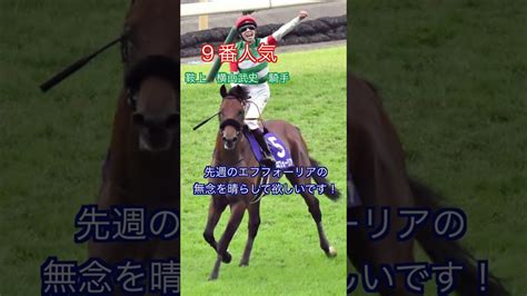 2023フェブラリーステークス穴馬に迷ったらこれを買え！ 競馬女子による予想 競馬動画まとめ