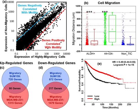 Whole Transcriptome Sequencing Reveals Genes Differentially Expressed