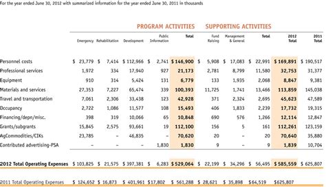 Statement Of Functional Expenses Template