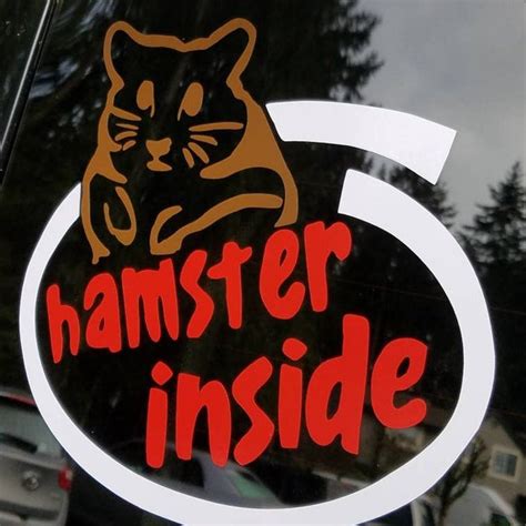 Kia Soul Hamster - Etsy