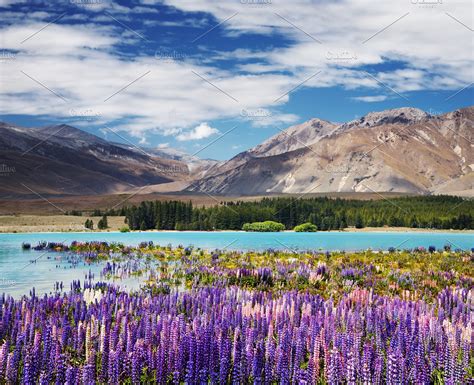 Lake Tekapo, New Zealand | High-Quality Nature Stock Photos ~ Creative Market