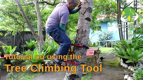 Tutorial On Using The Tree Climbing Tool YouTube