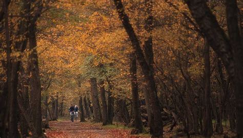 Piemonte Itinerari Slow Per Scoprire La Regione In Autunno