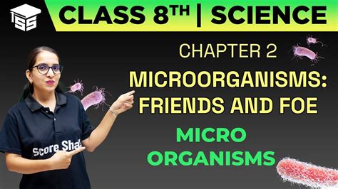 Chapter 2 Class 8 Science Microorganisms Friend And Foe Microorganisms Class 8 Science