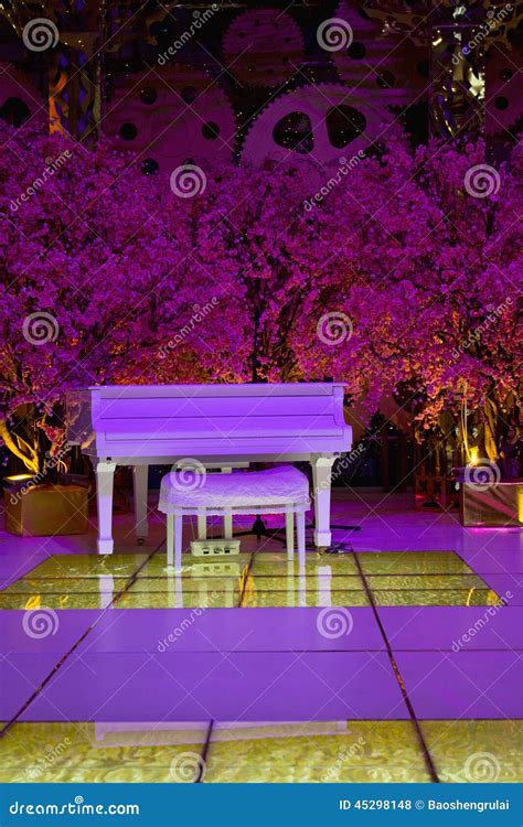 White Piano Stock Photo Image Of Concerto Hall Lessons 45298148