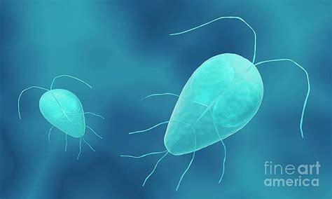 Giardia Art Pixels