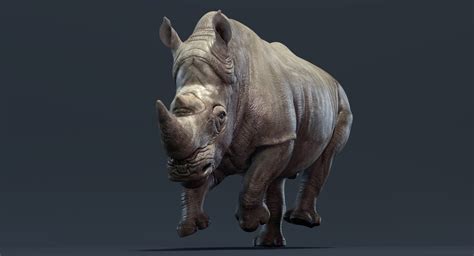 Big rhino animation 3D model - TurboSquid 1344943