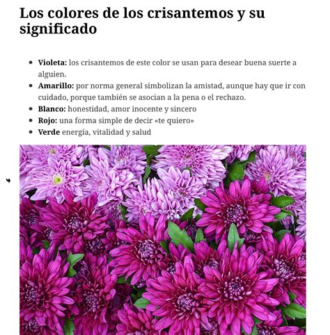 Pin De Aniita Pech En Cultivo De Plantas Significado De Las Flores