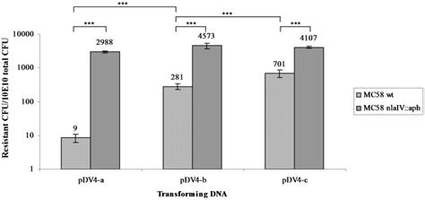 The Y Axis Shows The Number Of Resistant Erythromycin Cfu Total