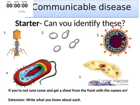 Topic 3 Communicable Disease Aqa Trilogy Teaching Resources