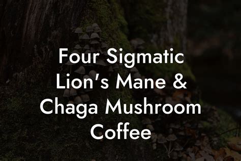 Four Sigmatic Lions Mane And Chaga Mushroom Coffee Mr Mushroom