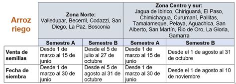 Listas Las Fechas De Siembra De Ma Z Sorgo Y Arroz En El Cesar Para