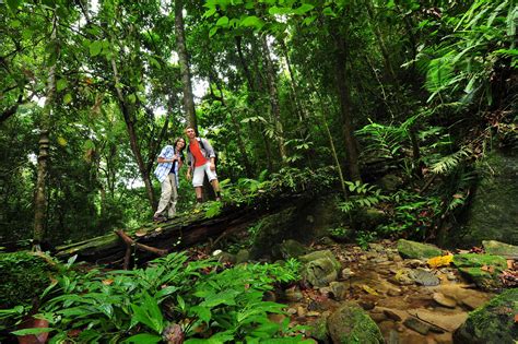 Exploring A Rainforest By Night At Belum Rainforest Resort In Malaysia