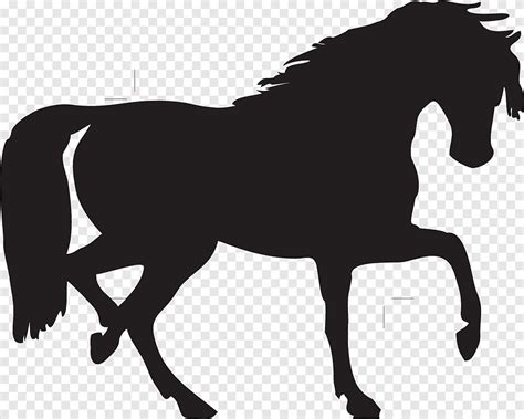 Stallion Silhouette Png Pngegg