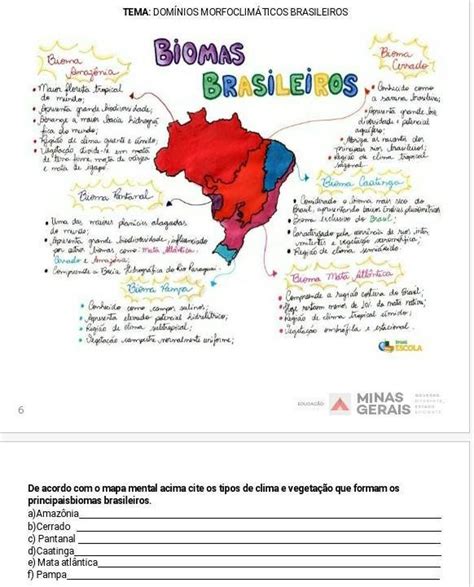 De Acordo O Mapa Mental Acima Cite Os Tipos De Clima E Vegeta O