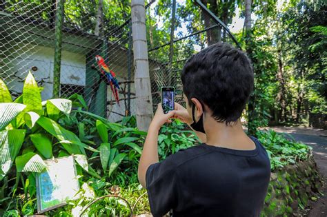 Veja o funcionamento do bosque e zoo de Ribeirão Preto no feriadão