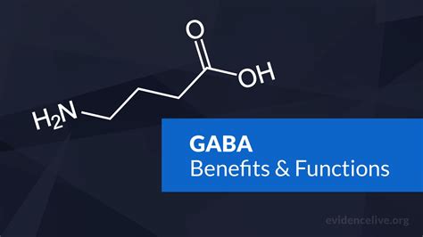 What Is Gaba Benefits And Functions In The Brain Evidencelive