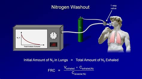 Pulmonary Function Tests (PFT): Lesson 3 - Lung Volumes | Doovi