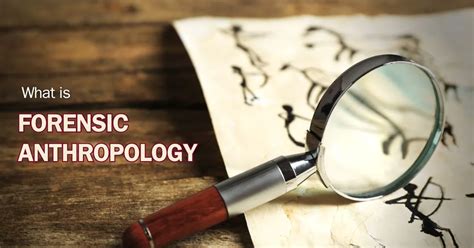 What Is Forensic Anthropology A Complete Overview