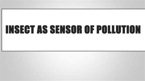 Insects As Pollution Sensors Ppt