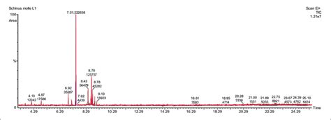 Chromatograms Of Essential Oil From Leaf Of Schinus Moll Download Scientific Diagram