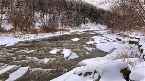 Free Images Tree Water Forest Snow Cold Winter Frost River