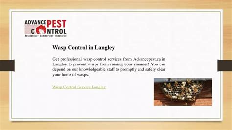 Ppt Wasp Control In Langley Powerpoint Presentation Free Download Id 12610598