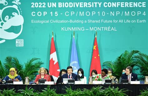 COP15-Präsident zuversichtlich über Fortschritte bei UN-Biodiversitätskonferenz_China.org.cn