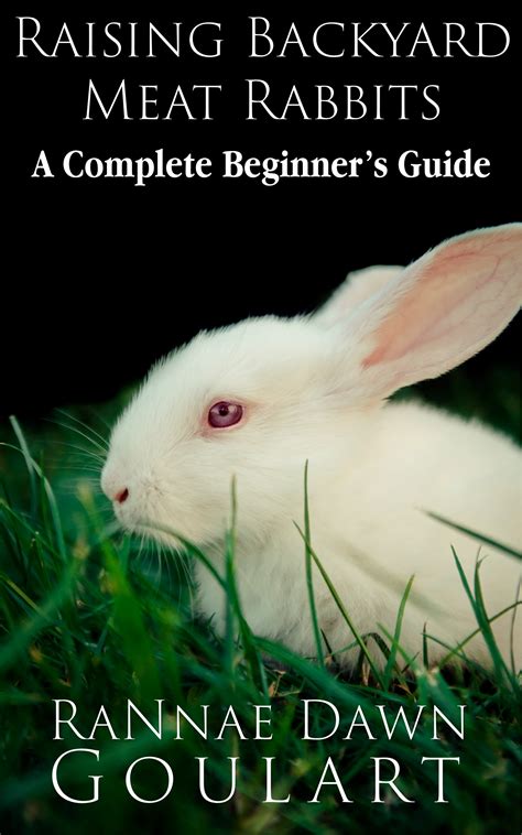 Raising Backyard Meat Rabbits A Complete Beginner S Guide By Rannae