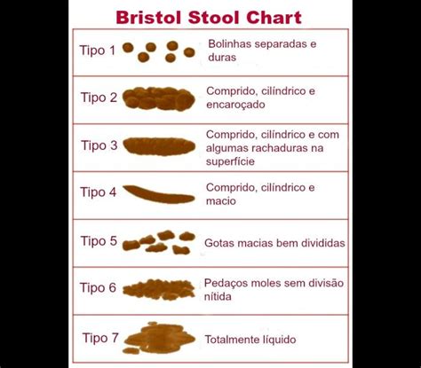 Tipo de fezes indica a saúde do intestino descubra o seu Mídia Bahia