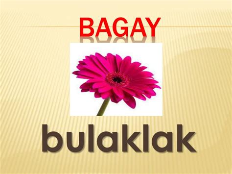 Pangngalan Ng Tao Halimbawa