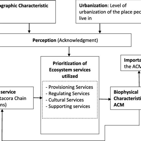 Conceptual Framework On The Link Between Socio Demographic Factors