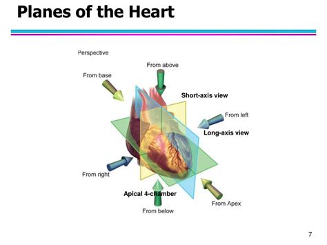 Ppt Computational Biomedical Informatics Powerpoint Presentation