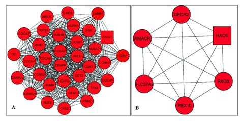 The Two Modules Were Generated From The DEGs PPI Network By MCODE A