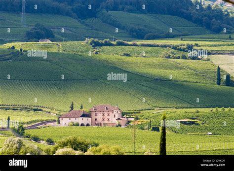 Landschafts Ansicht in den Südtiroler Bergen mit Zypressen in den